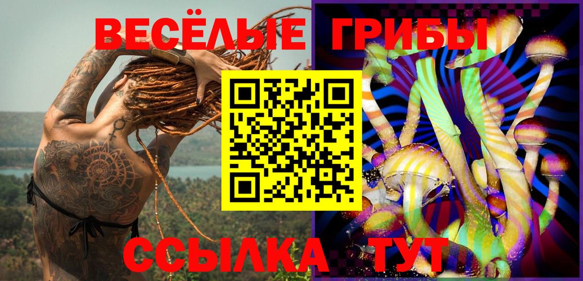 Псилоцибиновые грибы Cubensis Электросталь