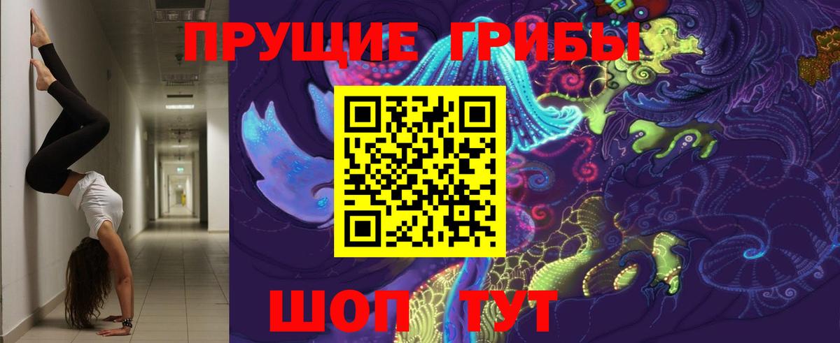 Псилоцибиновые грибы ЛСД  Псилоцибиновые грибы Magic Shrooms  Электросталь  Вход с VPN 